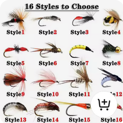 Fly Fishing Gear