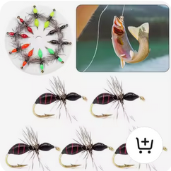 Fly Fishing Gear